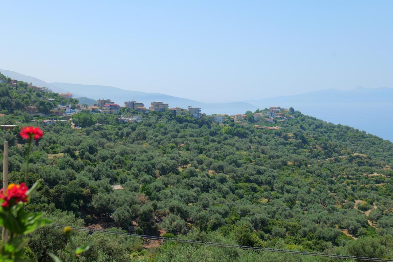 مبيت وإفطار Vila Panorama Piqeras المظهر الخارجي الصورة