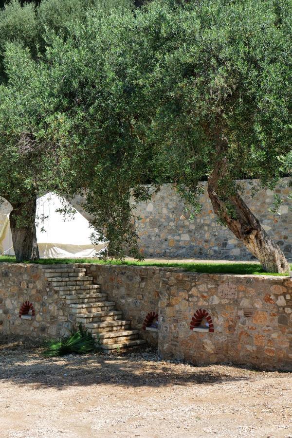 مبيت وإفطار Vila Panorama Piqeras المظهر الخارجي الصورة